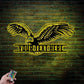 Eagle Led Metal Sign – Wix Decor